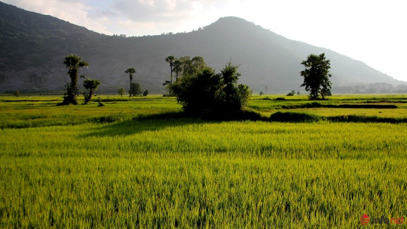 Cảnh yên bình như tranh vẽ dưới chân núi Bà Đen - Tây Ninh - ảnh 9