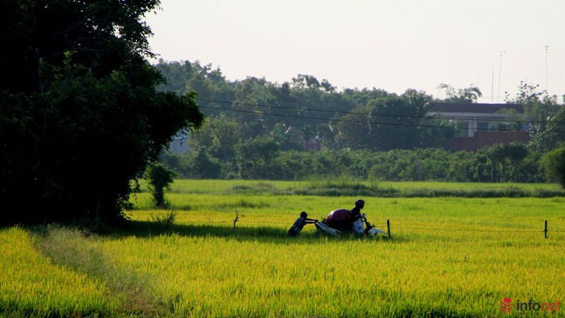 Cảnh yên bình như tranh vẽ dưới chân núi Bà Đen - Tây Ninh - ảnh 10