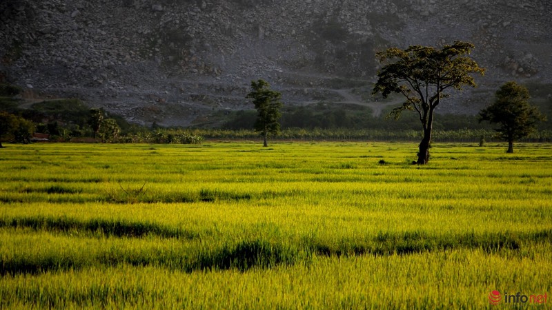 Cảnh yên bình như tranh vẽ dưới chân núi Bà Đen - Tây Ninh - ảnh 7