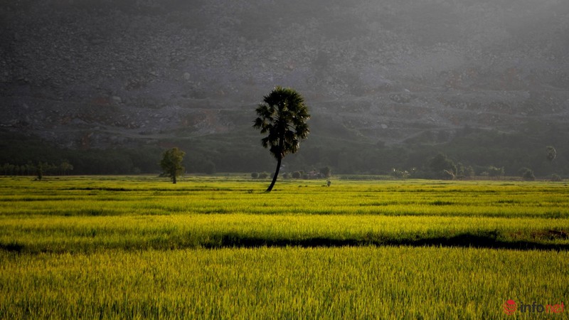 Cảnh yên bình như tranh vẽ dưới chân núi Bà Đen - Tây Ninh - ảnh 15