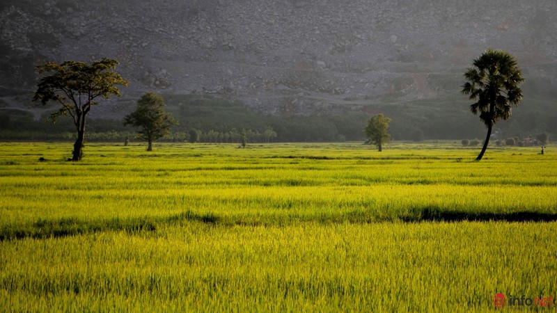 Cảnh yên bình như tranh vẽ dưới chân núi Bà Đen - Tây Ninh - ảnh 1