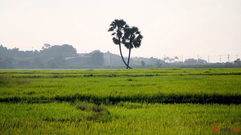 Cảnh yên bình như tranh vẽ dưới chân núi Bà Đen - Tây Ninh - ảnh 2