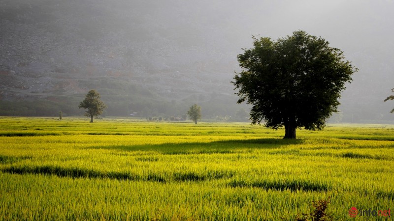 Cảnh yên bình như tranh vẽ dưới chân núi Bà Đen - Tây Ninh - ảnh 5
