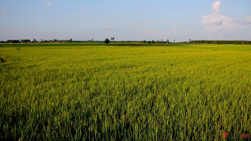 Cảnh yên bình như tranh vẽ dưới chân núi Bà Đen - Tây Ninh - ảnh 13