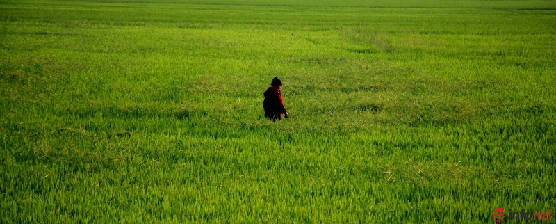 Cảnh yên bình như tranh vẽ dưới chân núi Bà Đen - Tây Ninh - ảnh 12