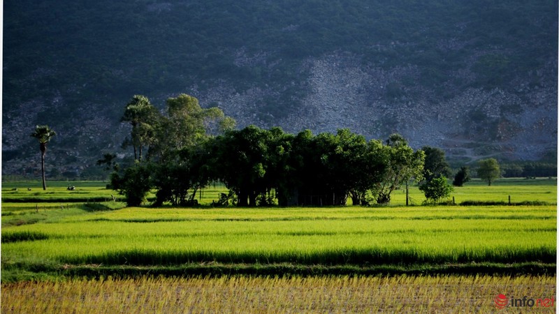 Cảnh yên bình như tranh vẽ dưới chân núi Bà Đen - Tây Ninh - ảnh 8