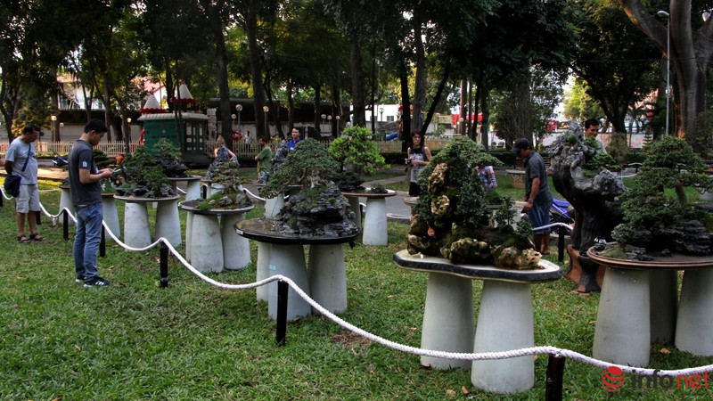 TP.HCM: Khai mạc Hội hoa Xuân, hàng ngàn hiện vật độc đáo được trưng bày - ảnh 13