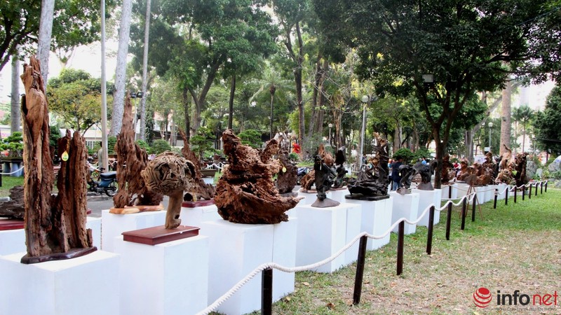 TP.HCM: Khai mạc Hội hoa Xuân, hàng ngàn hiện vật độc đáo được trưng bày - ảnh 15