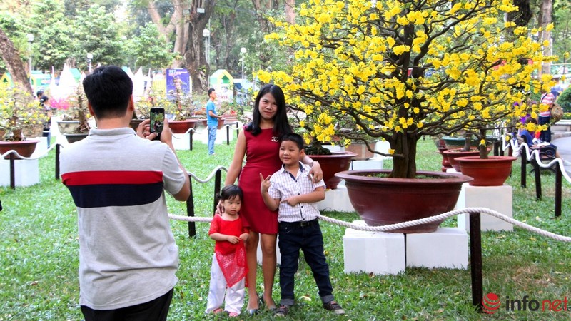 TP.HCM: Khai mạc Hội hoa Xuân, hàng ngàn hiện vật độc đáo được trưng bày - ảnh 23