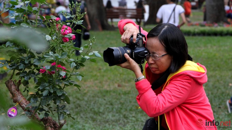 TP.HCM: Khai mạc Hội hoa Xuân, hàng ngàn hiện vật độc đáo được trưng bày - ảnh 21