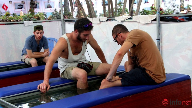 TP.HCM: Khai mạc Hội hoa Xuân, hàng ngàn hiện vật độc đáo được trưng bày - ảnh 24