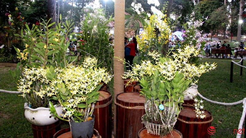 TP.HCM: Khai mạc Hội hoa Xuân, hàng ngàn hiện vật độc đáo được trưng bày - ảnh 9