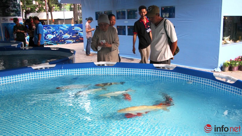 TP.HCM: Khai mạc Hội hoa Xuân, hàng ngàn hiện vật độc đáo được trưng bày - ảnh 19