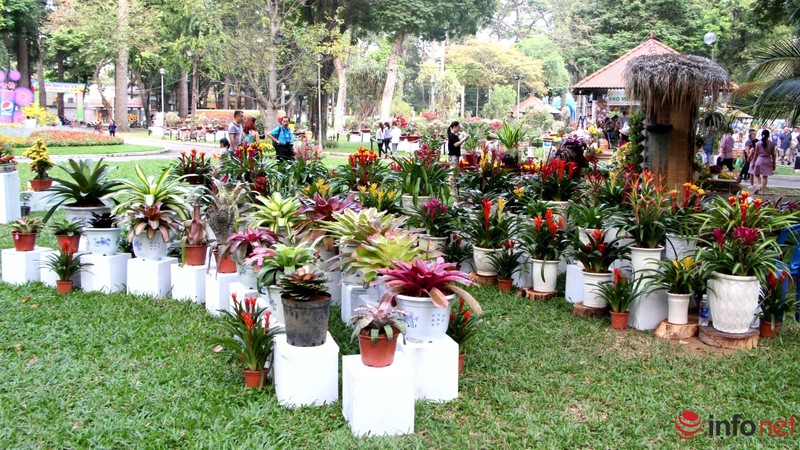 TP.HCM: Khai mạc Hội hoa Xuân, hàng ngàn hiện vật độc đáo được trưng bày - ảnh 6