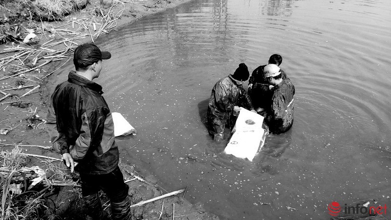 Lội ao bắt cá trong cái rét 11 độ - ảnh 6