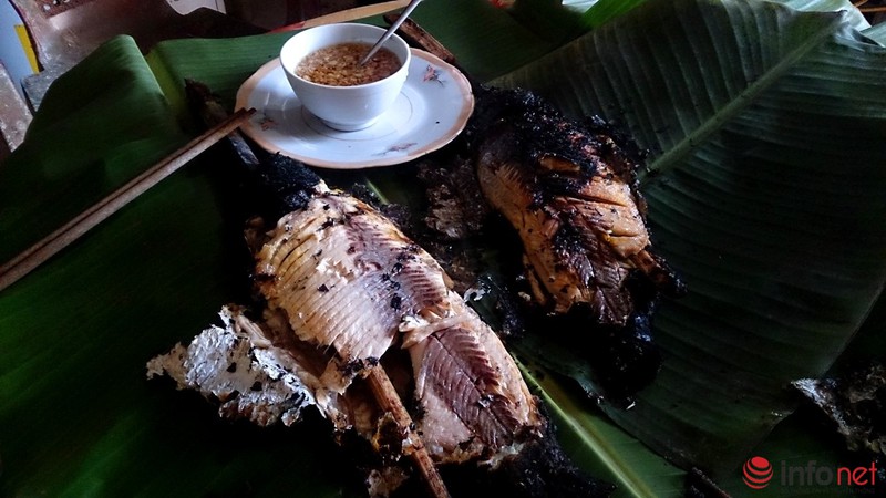 Lội ao bắt cá trong cái rét 11 độ - ảnh 15