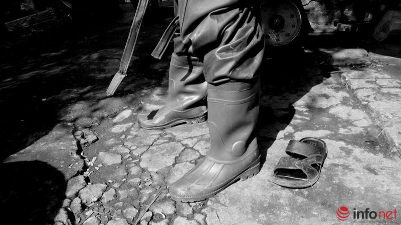 Lội ao bắt cá trong cái rét 11 độ - ảnh 1