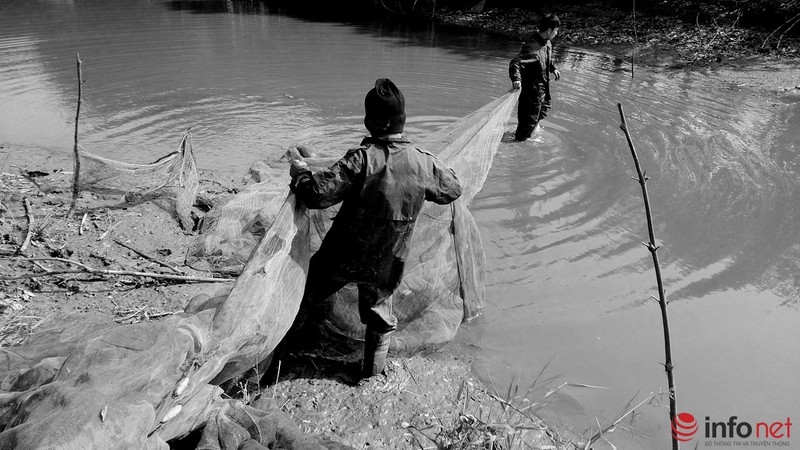 Lội ao bắt cá trong cái rét 11 độ - ảnh 2