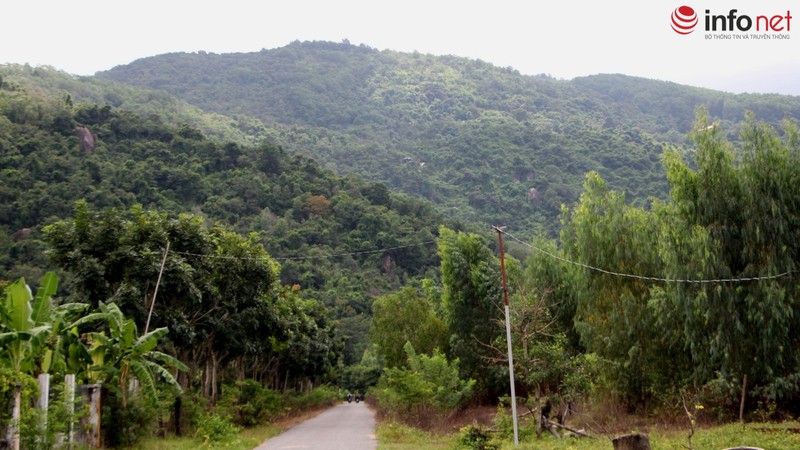 Trực thăng quần thảo trên núi Dinh tìm chiếc EC-130 mất tích - ảnh 7