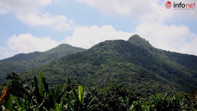 Trực thăng quần thảo trên núi Dinh tìm chiếc EC-130 mất tích - ảnh 8