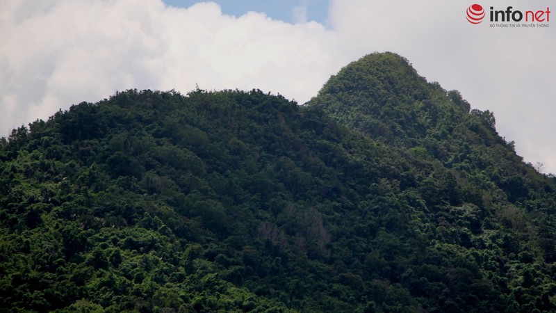 Trực thăng quần thảo trên núi Dinh tìm chiếc EC-130 mất tích - ảnh 9