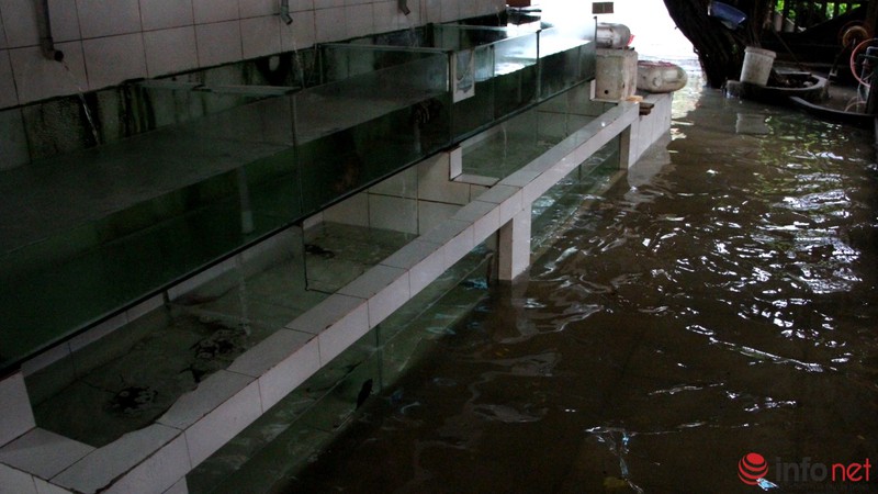 Triều cường đạt đỉnh, khách ngồi nhậu nhìn sóng vỗ ì oạp dưới sàn nhà - ảnh 5