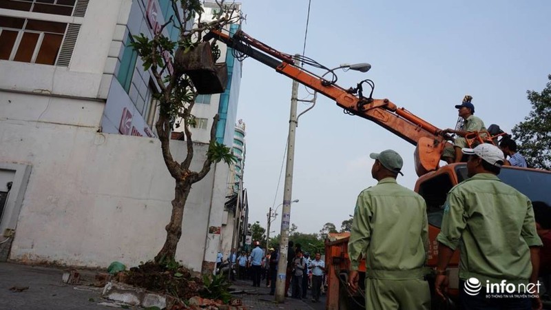 Quận 1 tiếp tục phá bồn cây, tường chắn chiếm vỉa hè trước VP bộ Công Thương - ảnh 6