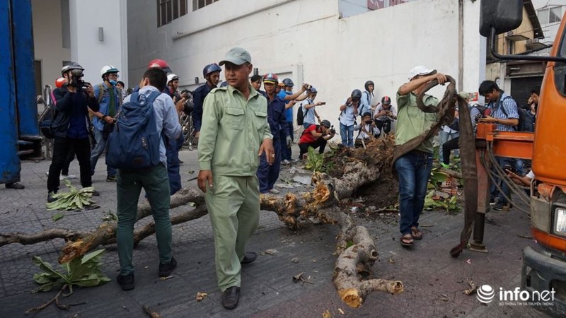Quận 1 tiếp tục phá bồn cây, tường chắn chiếm vỉa hè trước VP bộ Công Thương - ảnh 8