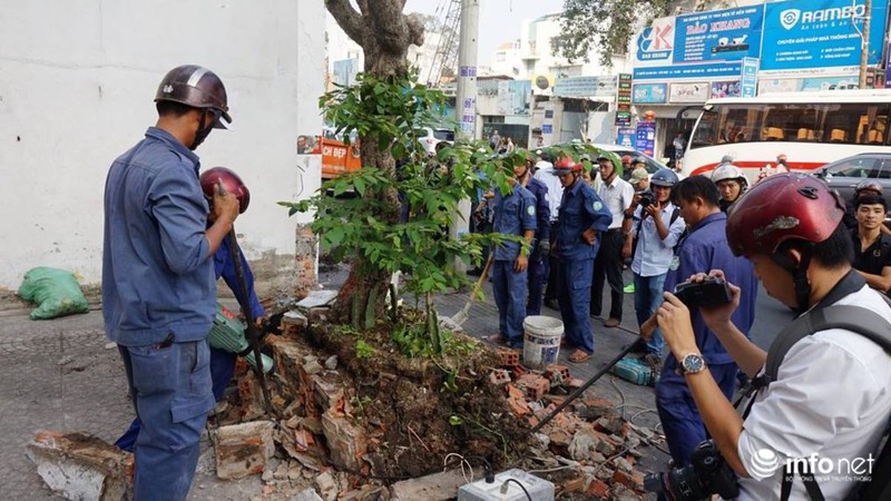 Quận 1 tiếp tục phá bồn cây, tường chắn chiếm vỉa hè trước VP bộ Công Thương - ảnh 5