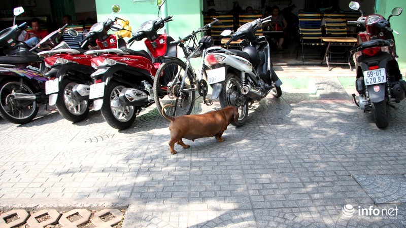 Ý thức người dân tốt lên trông thấy sau