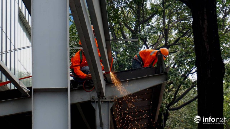 Ông Đoàn Ngọc Hải: