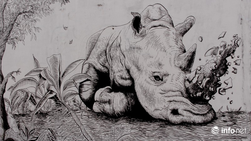 Xem hơn 100 ảnh về hình vẽ tê giác  daotaonec