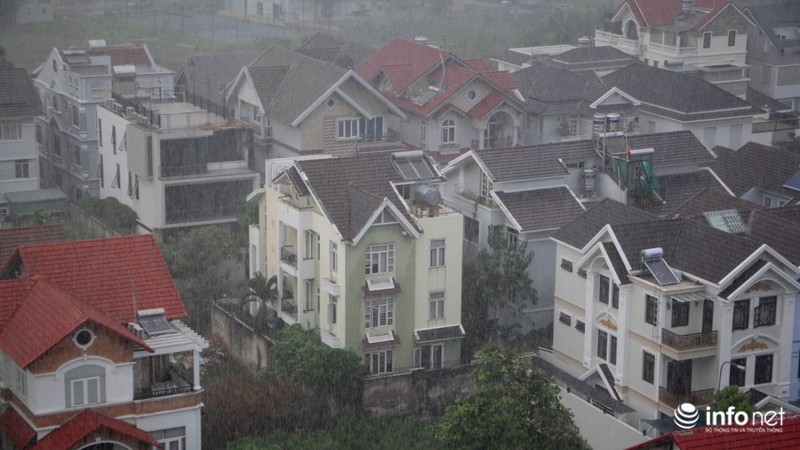 TP.HCM sẽ có mưa về chiều trong 3 ngày tới - ảnh 5