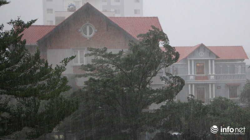 TP.HCM: Trời mưa như trút, gió mạnh, sấm chớp giật từng hồi - ảnh 4