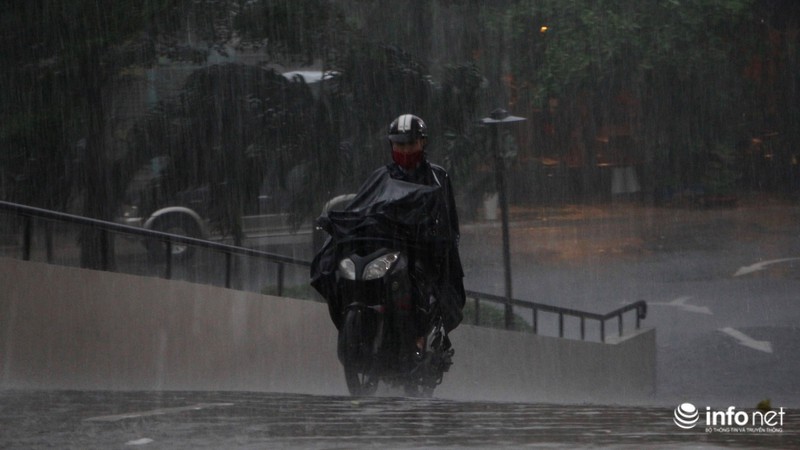 TP.HCM: Trời mưa như trút, gió mạnh, sấm chớp giật từng hồi - ảnh 5