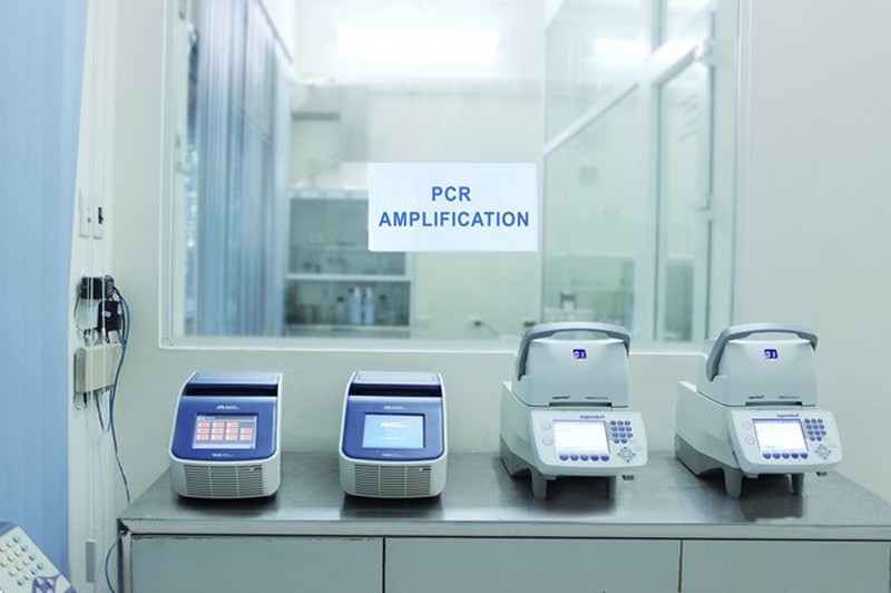 Các bước xét nghiệm ADN để tìm huyết thống - ảnh 5