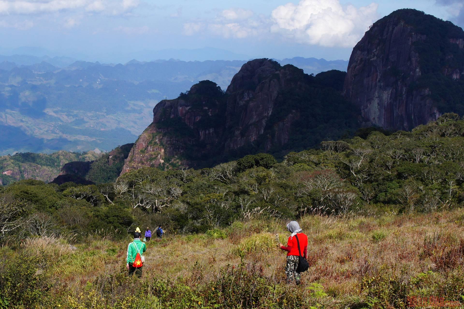 Conquering Mount Pha Luong in season of golden maple leaves