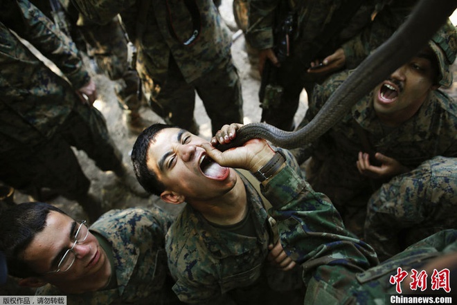 Ảnh quân sự ấn tượng nhất 2013 theo cách nhìn của Tân Hoa xã - ảnh 7