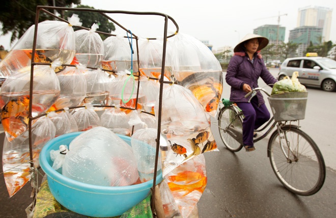 Ảnh chọn mua đồ lễ cúng ông Công, ông Táo - ảnh 8