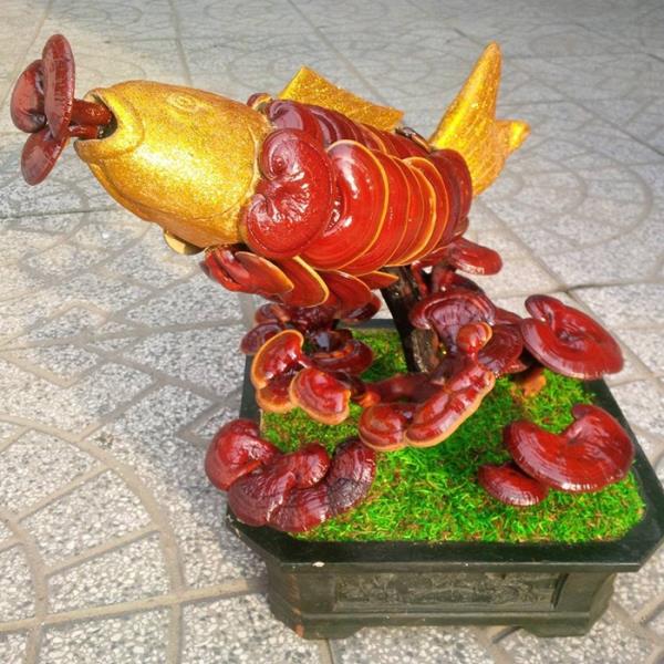 Giá đắt đỏ tiền triệu, nấm linh chi bonsai vẫn hút khách - 3