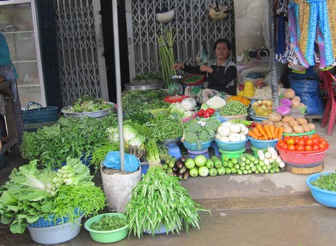 Giá rau xanh bắt đầu