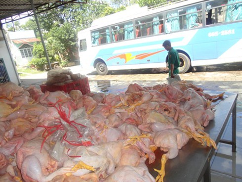 TP.HCM: 3 ngày bắt hơn 1 tấn thịt “bẩn” - ảnh 1