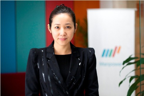 Thị trường nhân sự 2013: Việc vẫn chờ người giỏi - ảnh 2