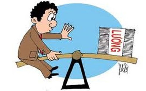 TP.HCM: Thêm 8 DN công ích “bòn rút” quỹ lương chi cho sếp - ảnh 1