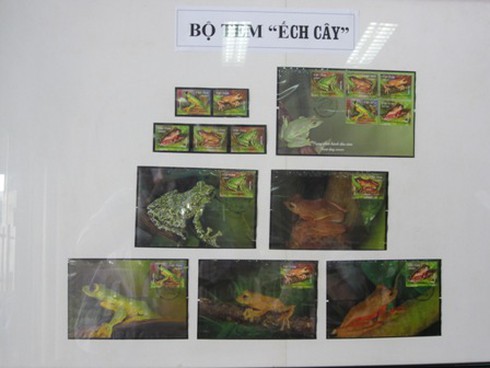 Bộ tem đầu tiên năm 2014 kêu gọi bảo vệ Ếch cây - ảnh 1