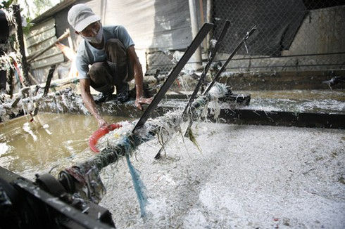 Làng tái chế nhựa: Nước đen kịt, mùi thối bủa vây - ảnh 7