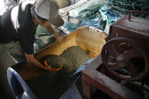 Làng tái chế nhựa: Nước đen kịt, mùi thối bủa vây - ảnh 9