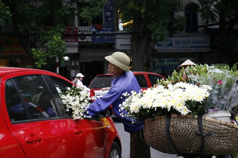Mong manh vẻ đẹp hoa cúc họa mi - ảnh 12