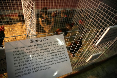 Người Hà Nội mê sản vật tiến vua - ảnh 1