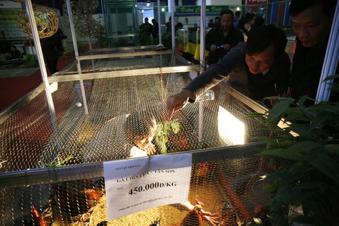 Người Hà Nội mê sản vật tiến vua - ảnh 10